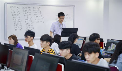 新华电子商务专业课程
