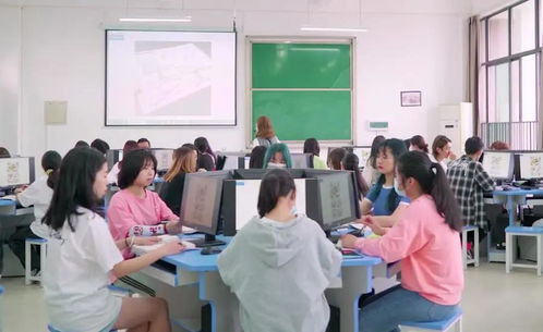 成考物流专业和电子商务