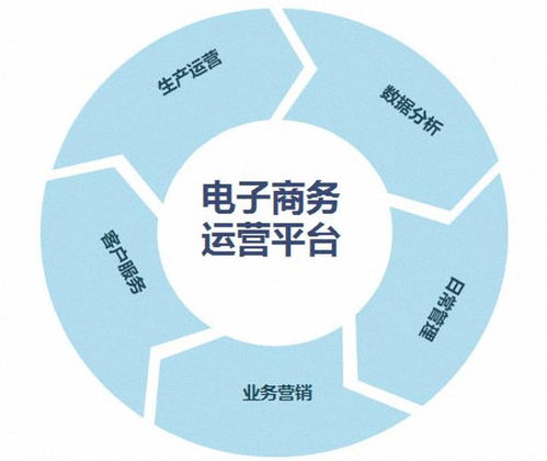电子商务是在什么专业内