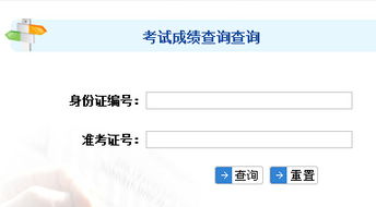 电子商务专业影响考公吗
