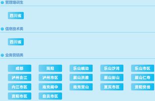 注册会计师电子商务专业