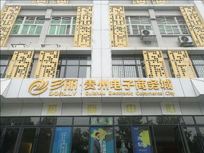 贵阳电子商务专业有哪些